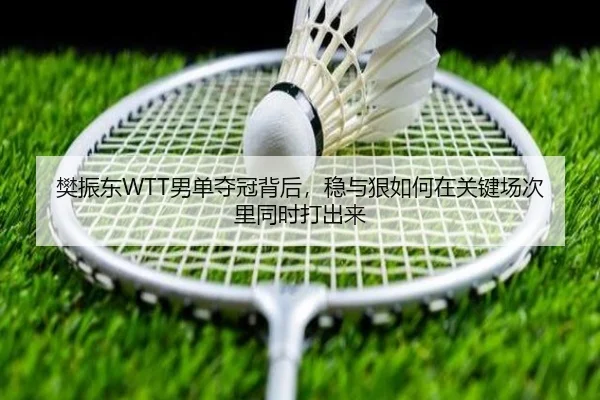 img_1781949761268_7_1_856.jpg